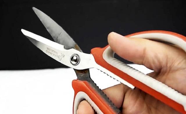 Острые ножницы без хлопот: пять способов заточить инструмент дома
