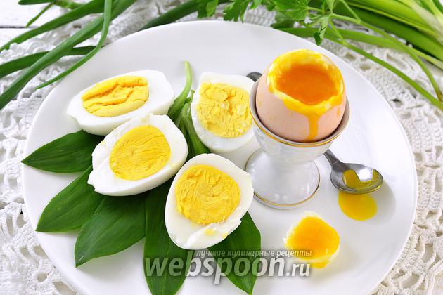Как варить куриные яйца