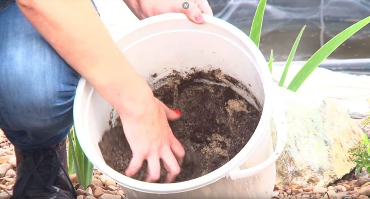 Как правильно сеять газон своими руками: пошаговая инструкция | Видео