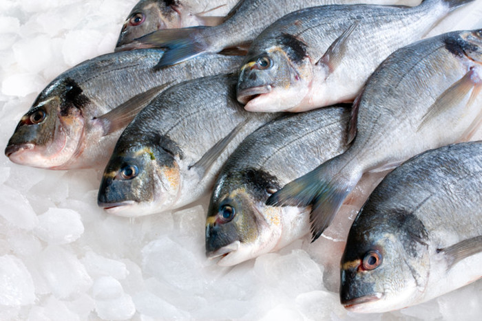 Консервы из речной рыбы в домашних условиях рецепт