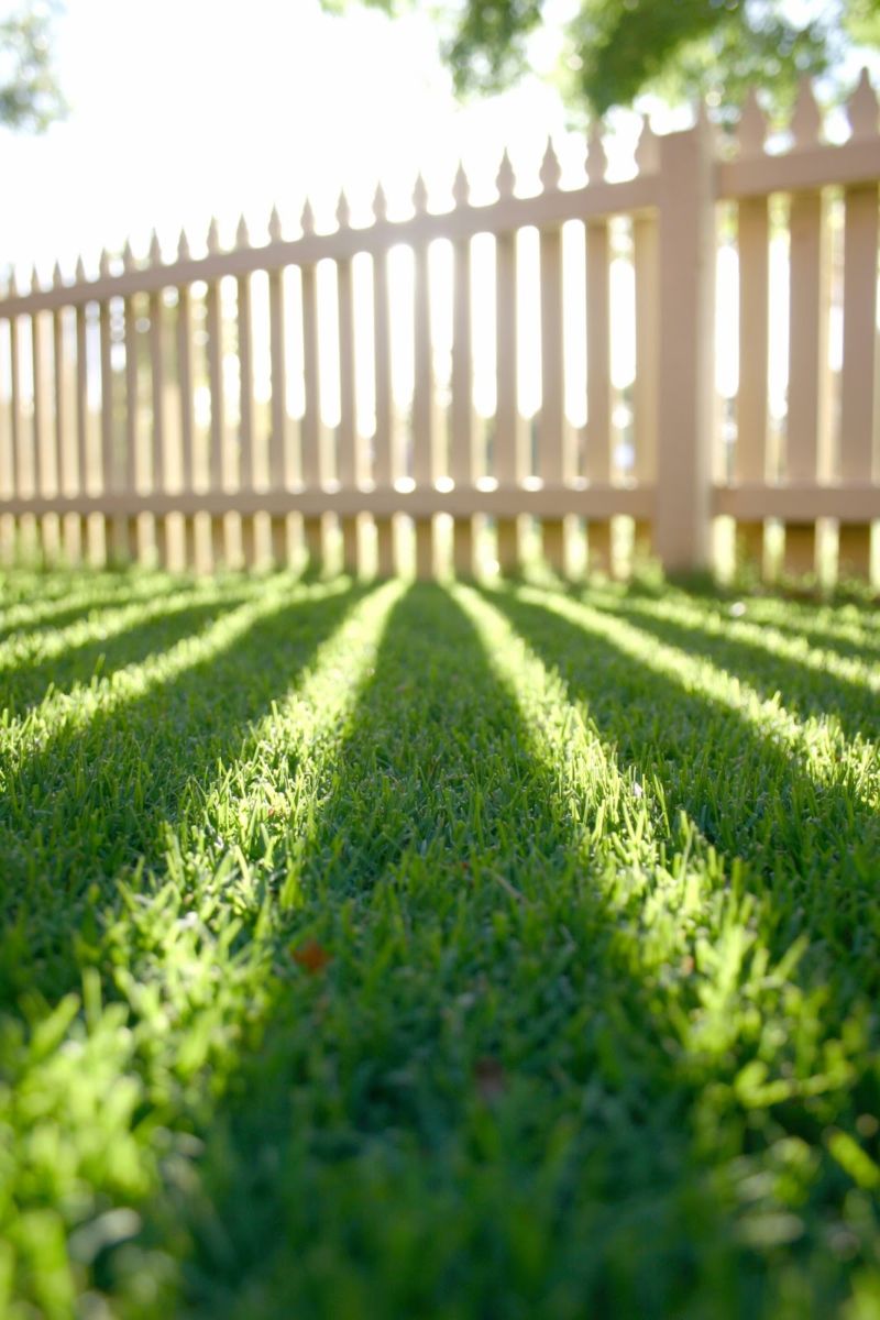 Красивый газон: фото идеи безупречного оформления газона своими руками