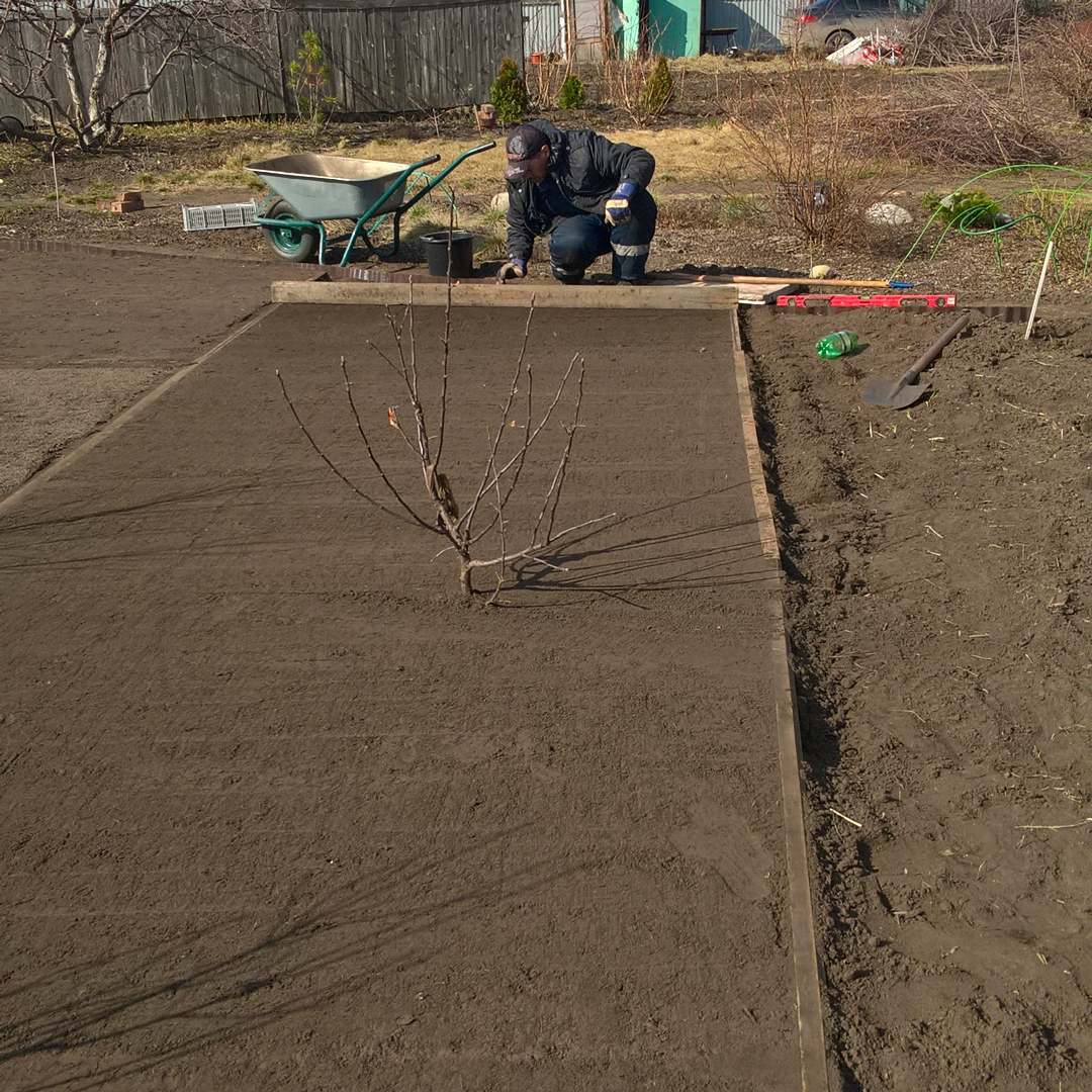 Газон на даче (39 фото): типы. Правила выбора участка под газон. Подготовка почвы и посев