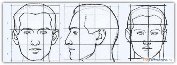 Учимся рисовать портрет любого человека карандашом: пошаговые инструкции