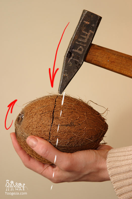 Как открыть кокос за пару секунд без подручных средств