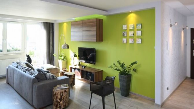 Зеленый цвет стен — модные тенденции и варианты применения зеленого цвета в дизайне интерьера (125 фото и видео)