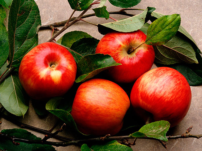 Рецепты из яблок: компот, пастила, уксус, крамбл, яблоки в карамели