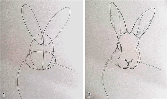 Как нарисовать кролика Шаг 1
