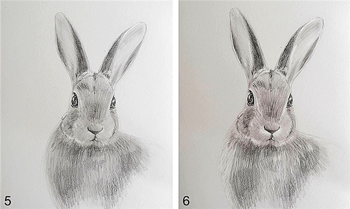 Рисование кролика Шаг 3