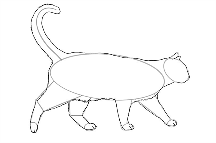 рисунок кошки 11