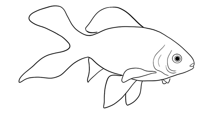 рисунок золотой рыбки 10