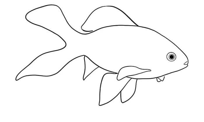 рисунок золотой рыбки 9