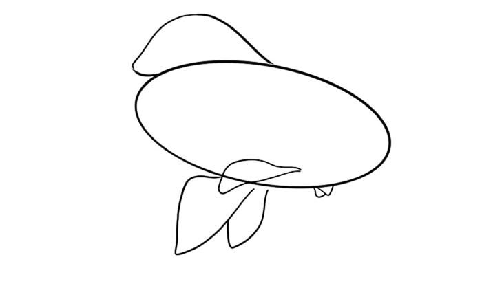 рисунок золотой рыбки 5