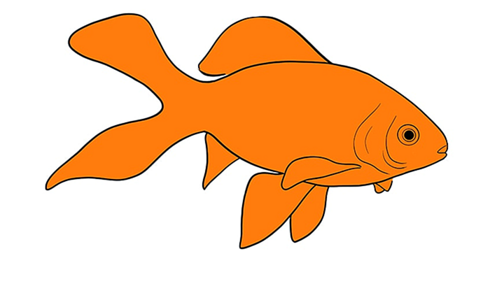золотая рыбка рисунок 11