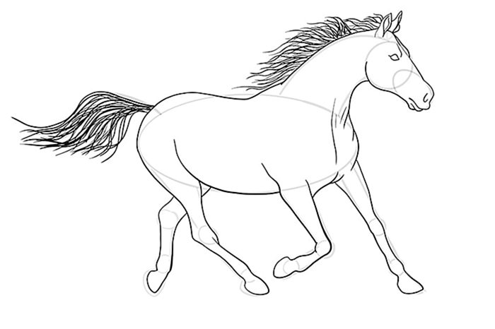 рисунок лошади 12а