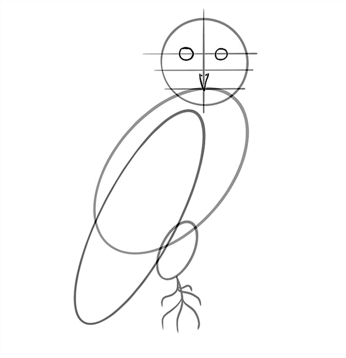Шаг 07 рисования совы