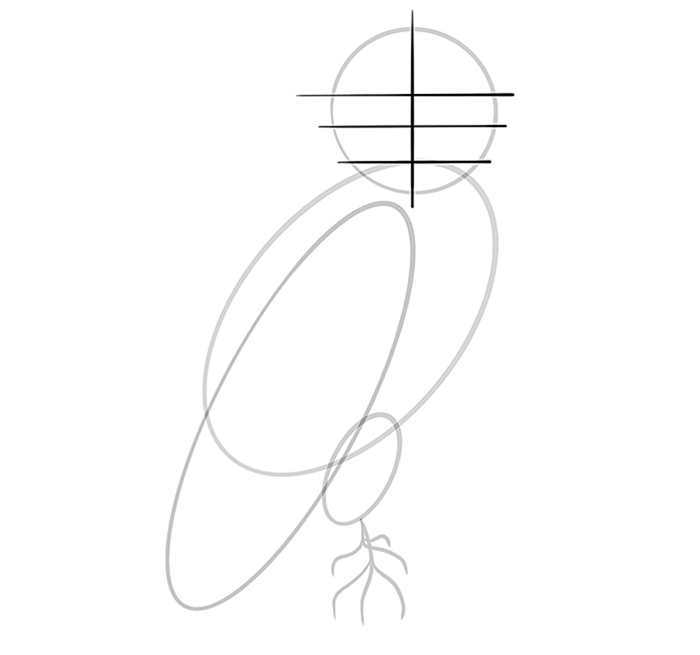 Шаг 06 рисования совы