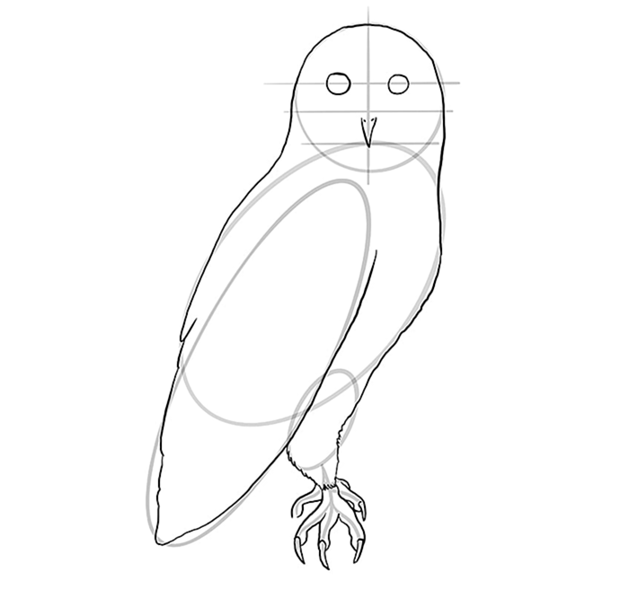 Шаг 08 рисования совы