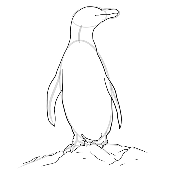 Легкое рисование пингвина Шаг 08