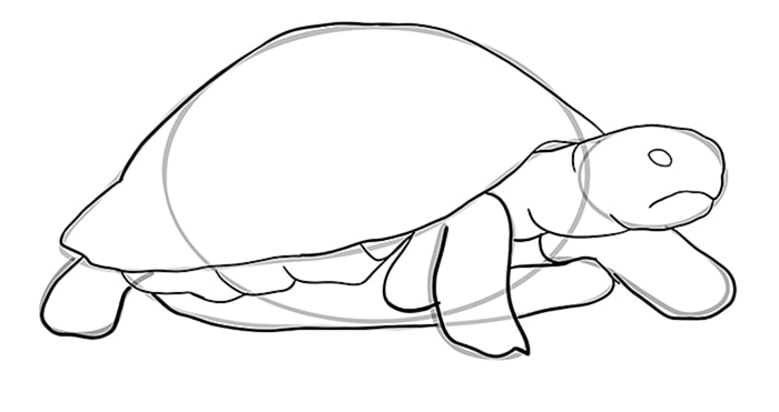 рисунок черепахи 8