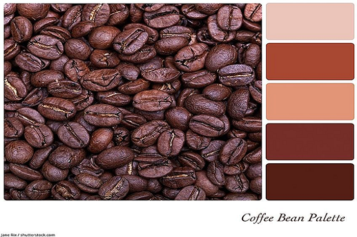 Палитра коричневых цветов Кофейное зерно