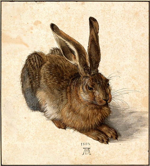 Кролик Альбрехта Дюрера