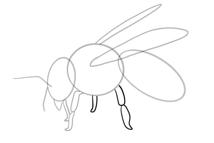 пчелиный рисунок 8