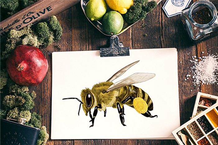 как нарисовать пчелу 2