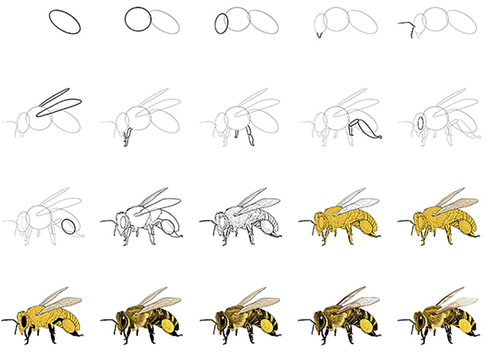 как нарисовать пчелу коллаж