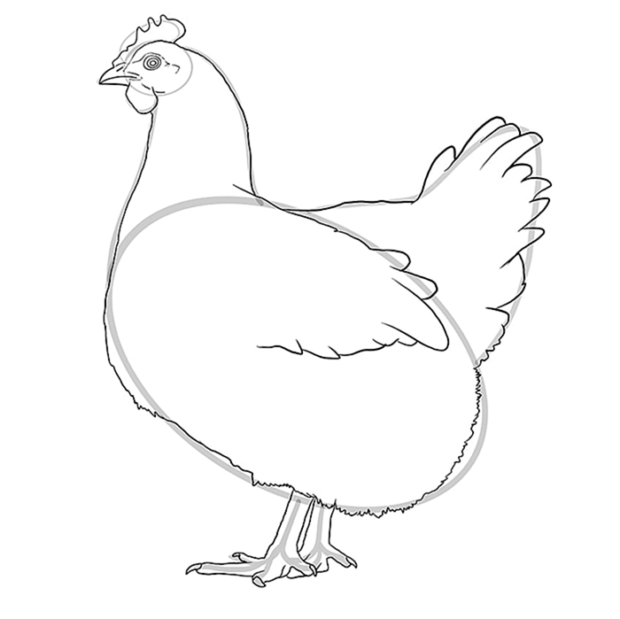 куриный рисунок 8