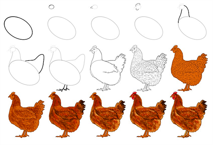 простой рисунок цыпленка