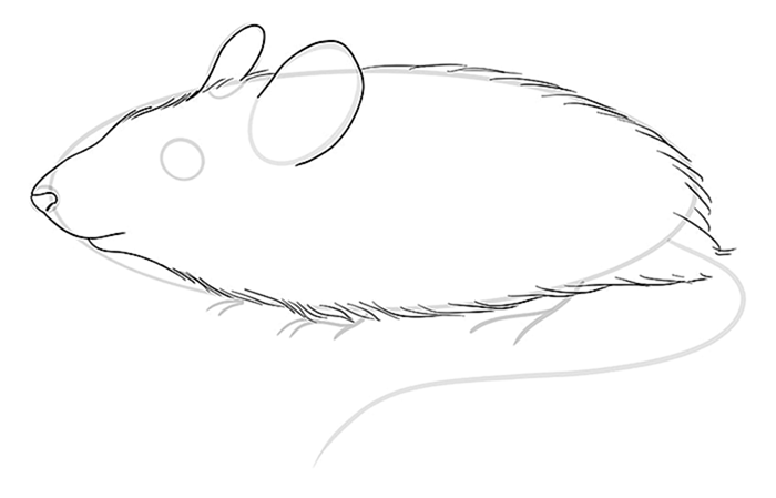 Рисование мышей Шаг 07