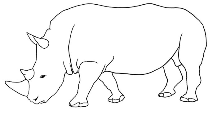 носорог рисунок 10