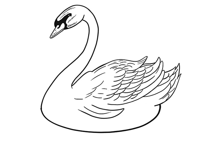 Шаг 10 рисования лебедя