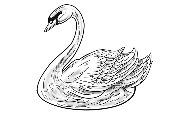 Шаг 12a рисования лебедя