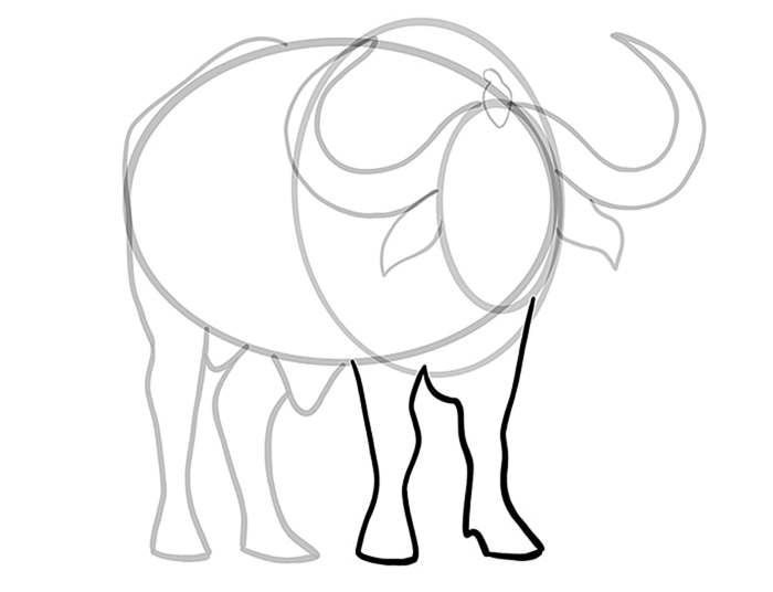 рисунок водяного буйвола 8
