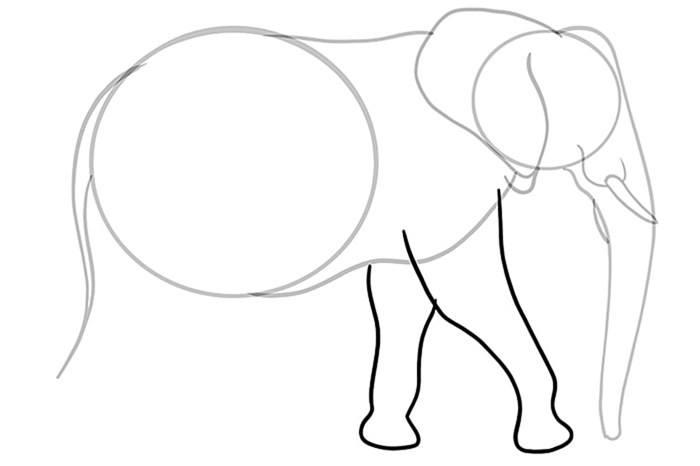 рисунок слона 08