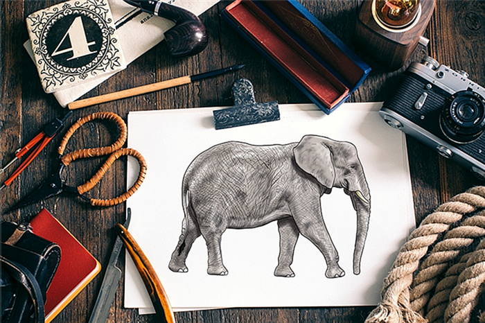 как нарисовать слона 2