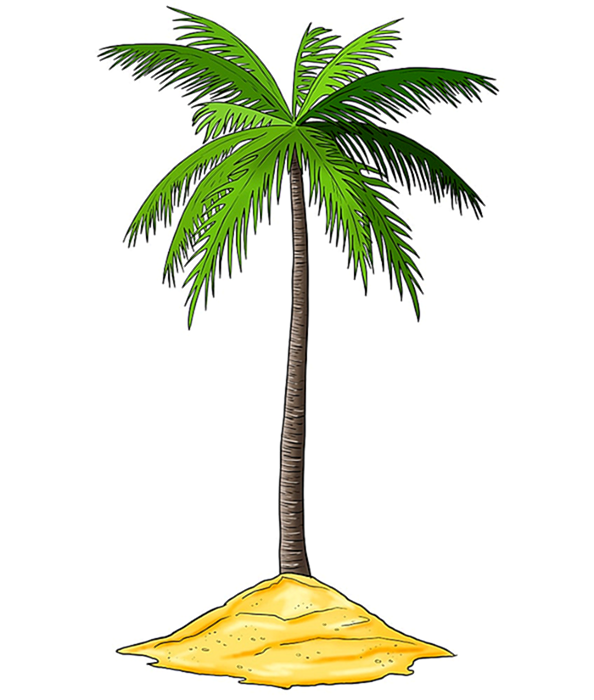 Рисунок пальмового дерева 13