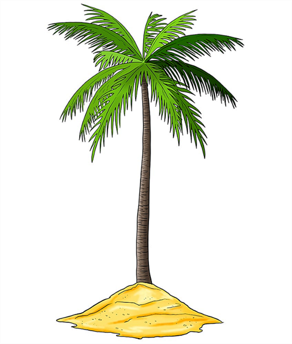 Рисунок пальмового дерева 12