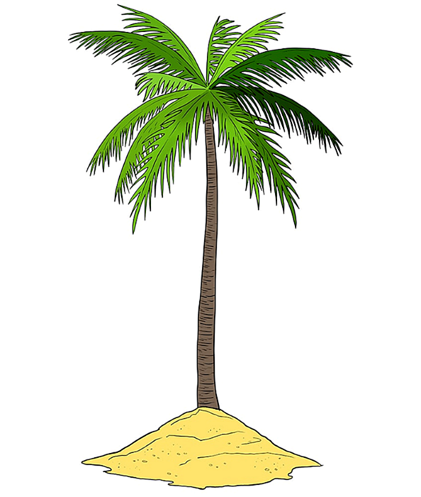 Рисунок пальмового дерева 10