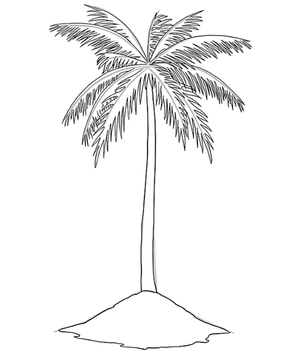 Рисунок пальмового дерева 6