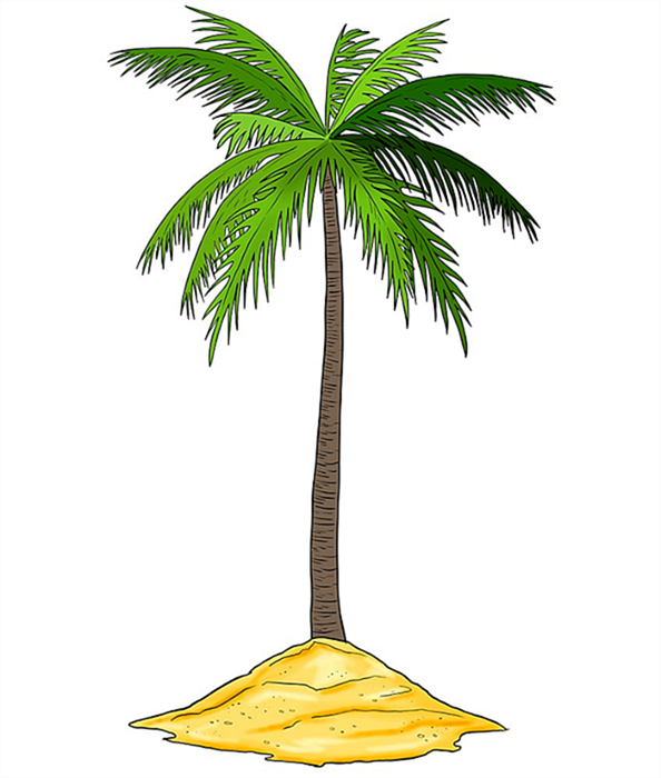 Рисунок пальмового дерева 11