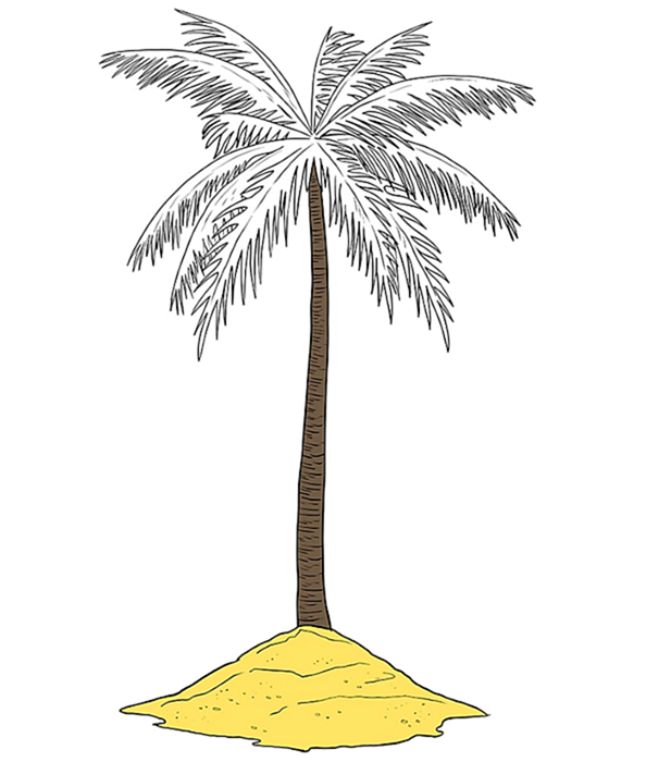 Рисунок пальмового дерева 9