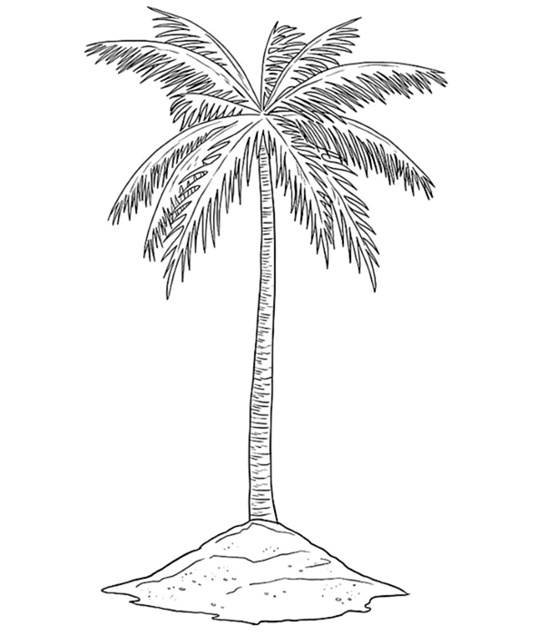 Рисунок пальмового дерева 7