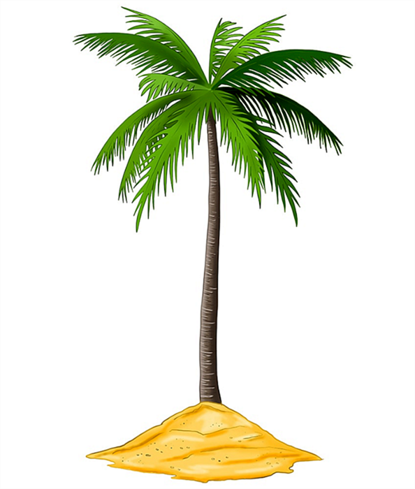 Рисунок пальмового дерева 15