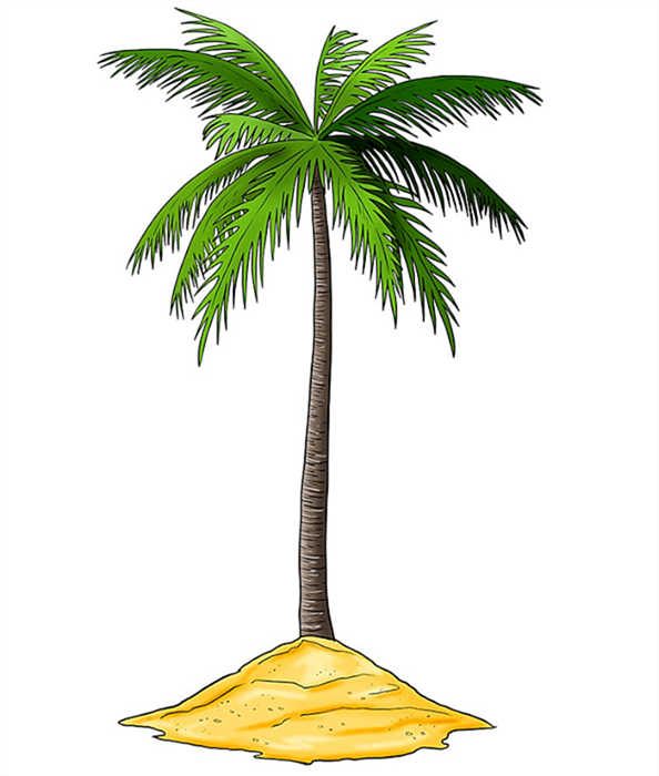 Рисунок пальмового дерева 14