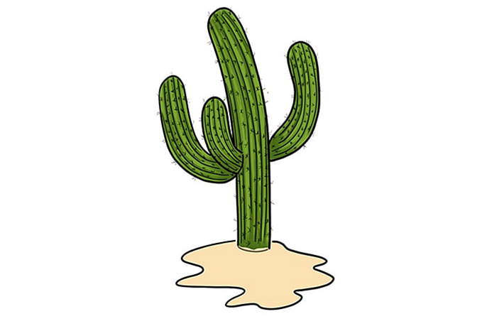 рисунок кактуса 10