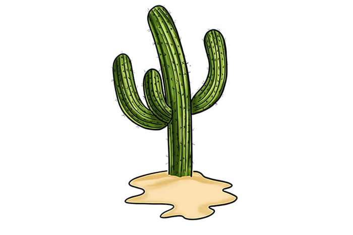 простой рисунок кактуса