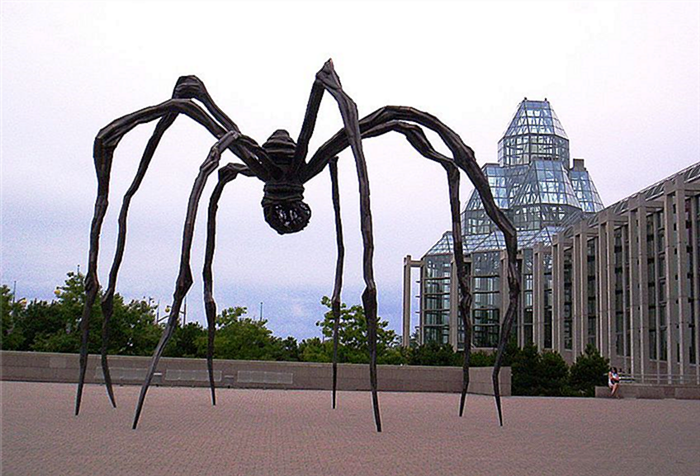 Изображение гигантского паука