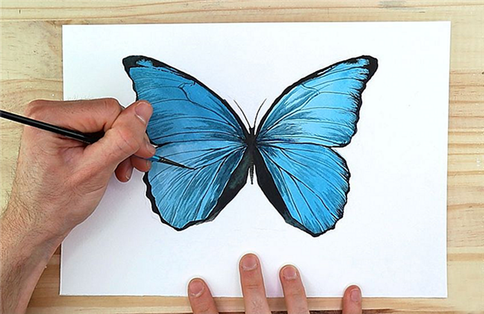 Акварельная живопись бабочки